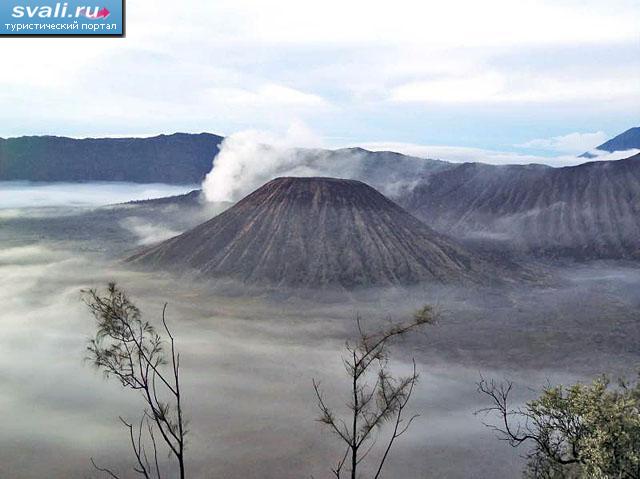 ������ ������� ����� (Bromo), ������ ��� (Java), ���������.
