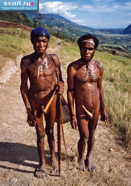 Папуасы, долина Балием (Baliem Valley), остров Новая Гвинея, Ириан Джая (Irian Jaya), Индонезия.