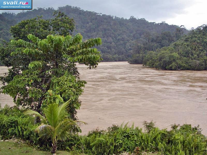   (Batang Rejang),   (Kalimantan, Borneo), .