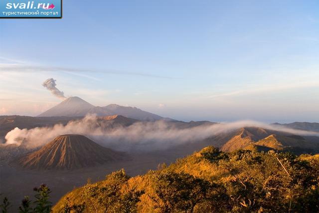       (Bromo),   (Java), .