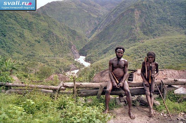 Папуасы, долина Балием (Baliem Valley), остров Новая Гвинея, Ириан Джая (Irian Jaya), Индонезия.