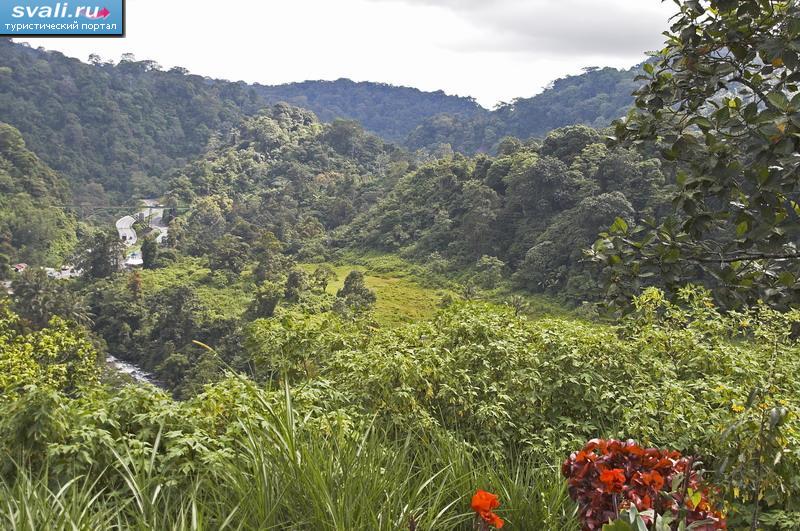    (Bukittinggi),  (Padang),   (Sumatra), .