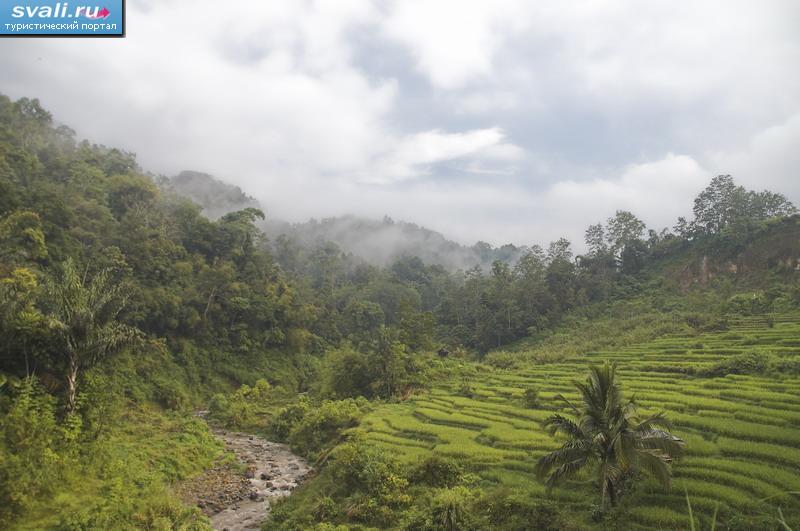   (Bukittinggi),   (Sumatra), .