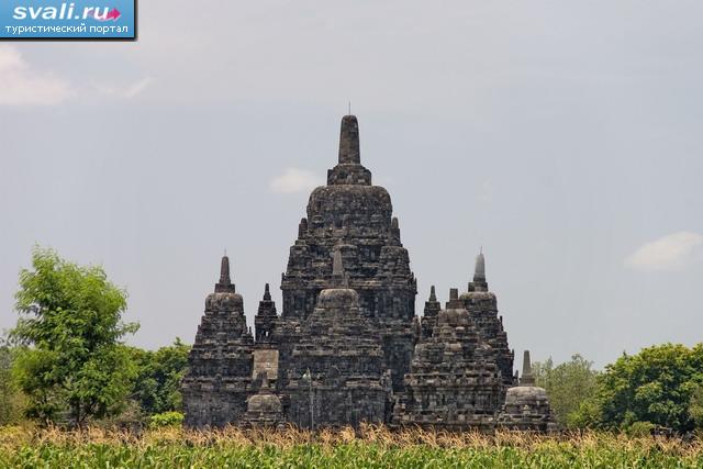   (Yogyakarta),   (Java), .