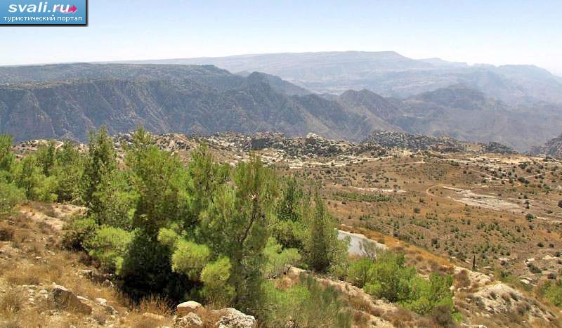 ���������� ���� (Dana Nature Reserve), ��������.