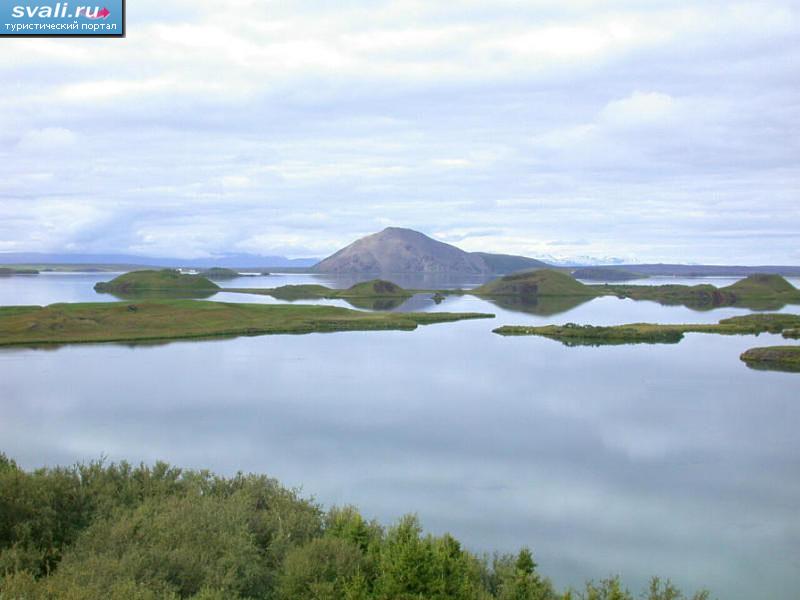 Озеро Миватн ("комариное озеро"), Исландия.