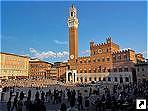 Площадь Кампо (Piazza del Campo), Сиена (Siena), Италия.