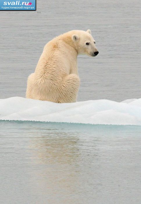 ����� �������, ��������� �������, ������.