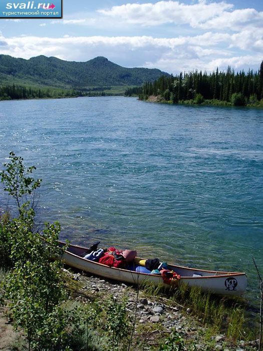 ��������� ����, ������.