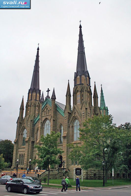 ���� ������� ��������, ����������, ������ ������ �������, ������.