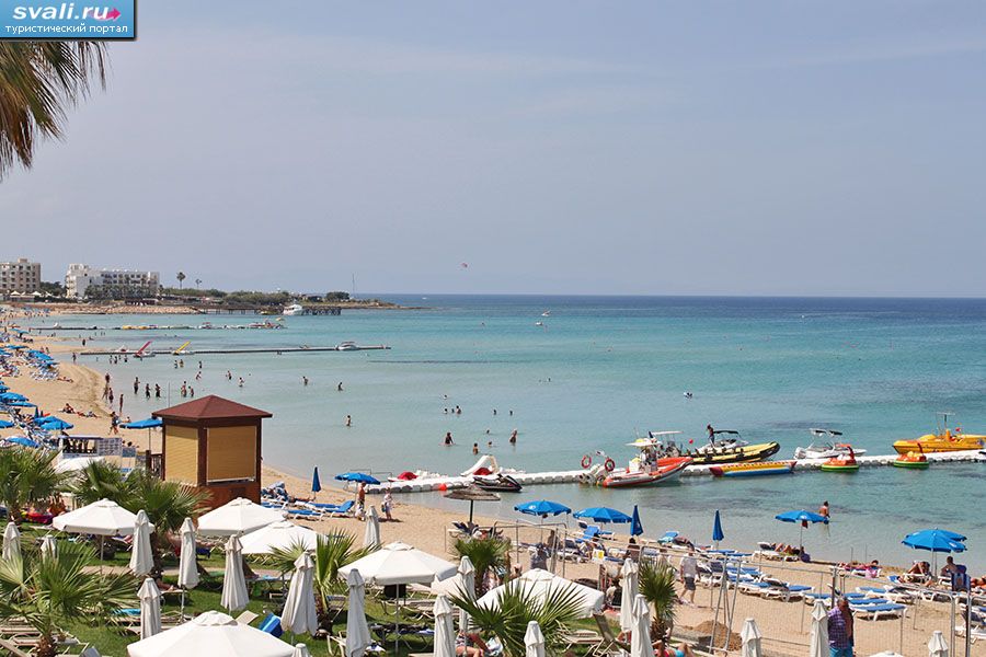 ��������, ����� ��������� �������� (Fig Tree Bay), ����.