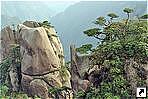   (Sanqingshan),   (Jiangxi), .