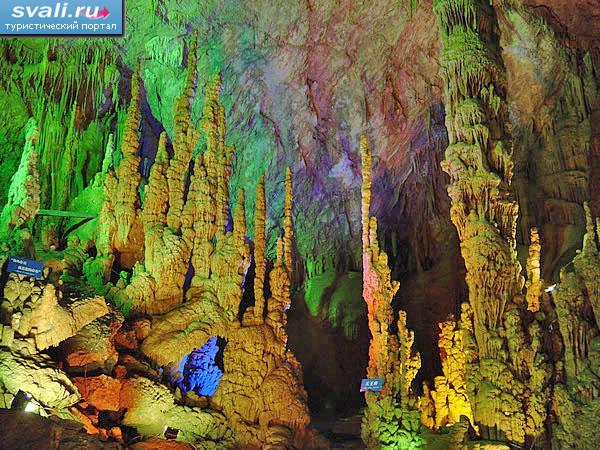   (Zhijin Cave),   (Guizhou), .