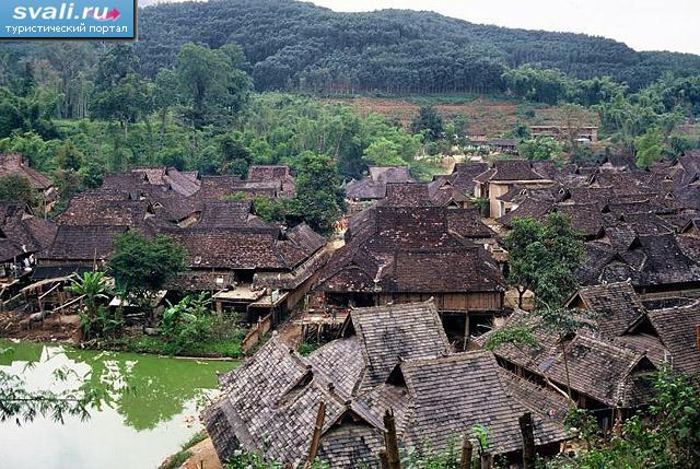   (Xishuangbanna),   (Yunnan), .