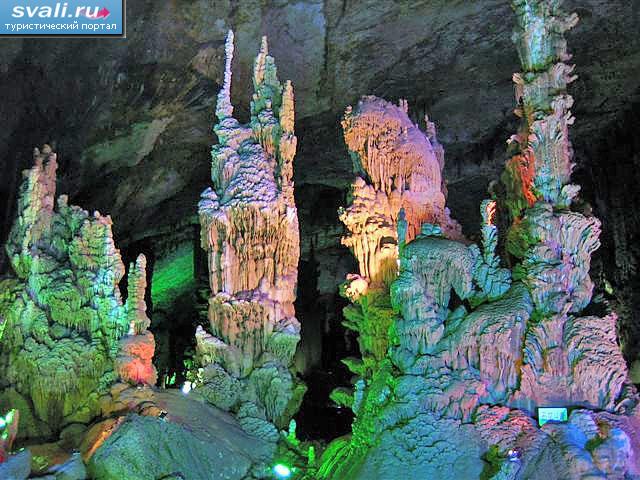   (Zhijin Cave),   (Guizhou), .