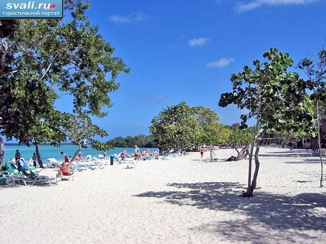   (Yuraguanal),   (Holguin), .