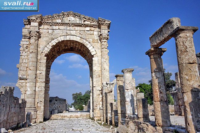 ��� (���), �����.