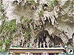   (Batu Caves), -, .