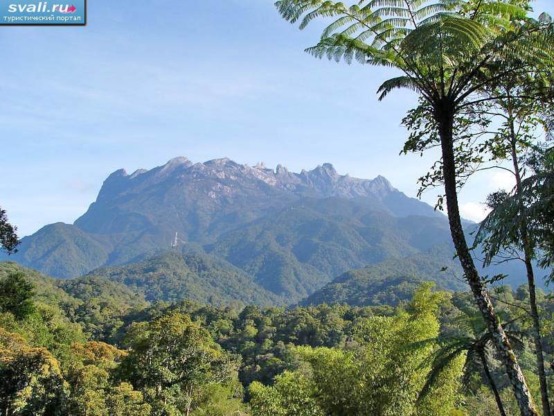   (Kinabalu),   (Sabah),   (), .