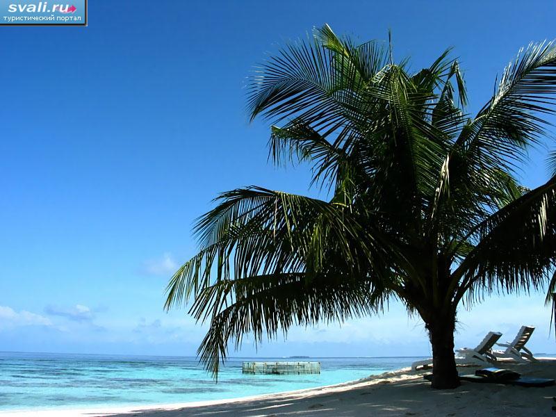 ����������� �������.