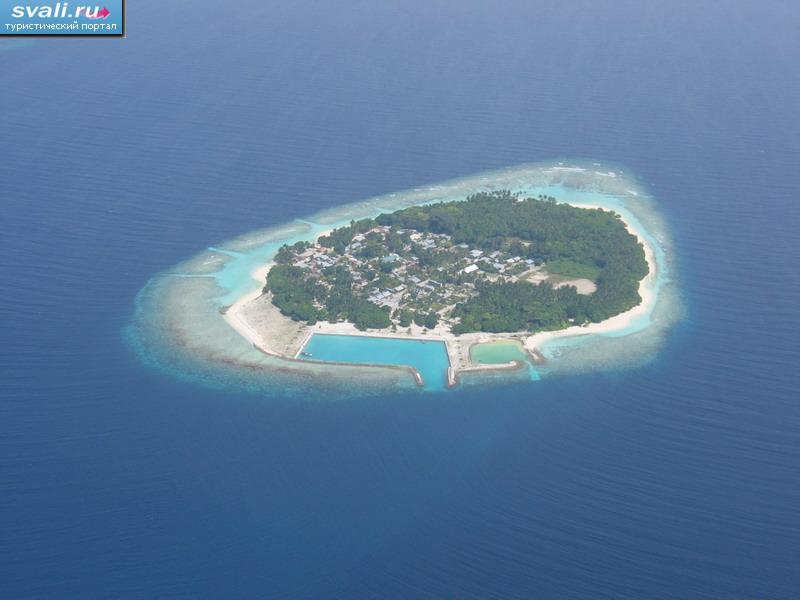 ����� ���, ����������� �������.