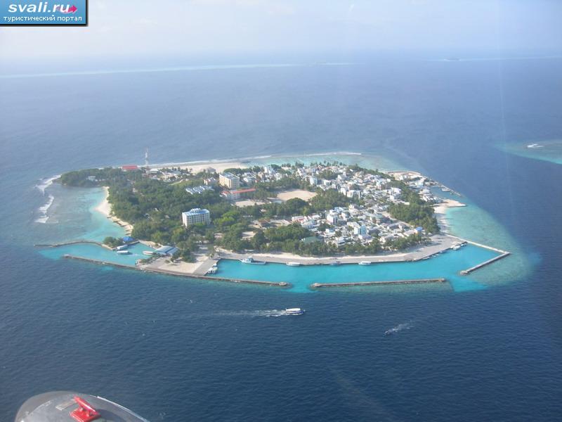 ����� �������� ����, ����������� �������.