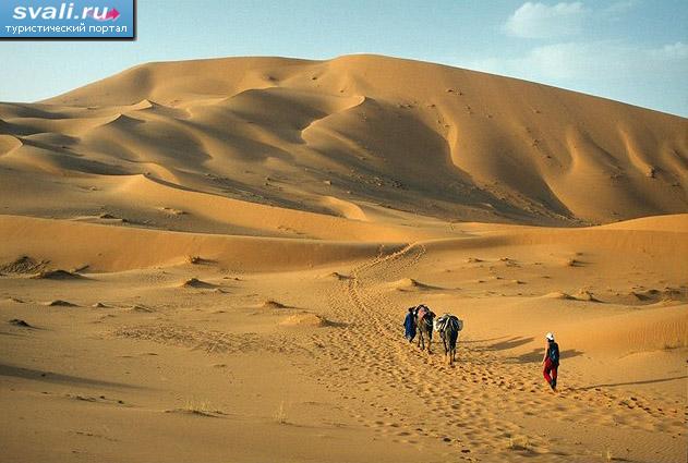Пустыня, Марокко.
