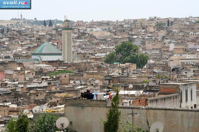 ������, ���, �������. 