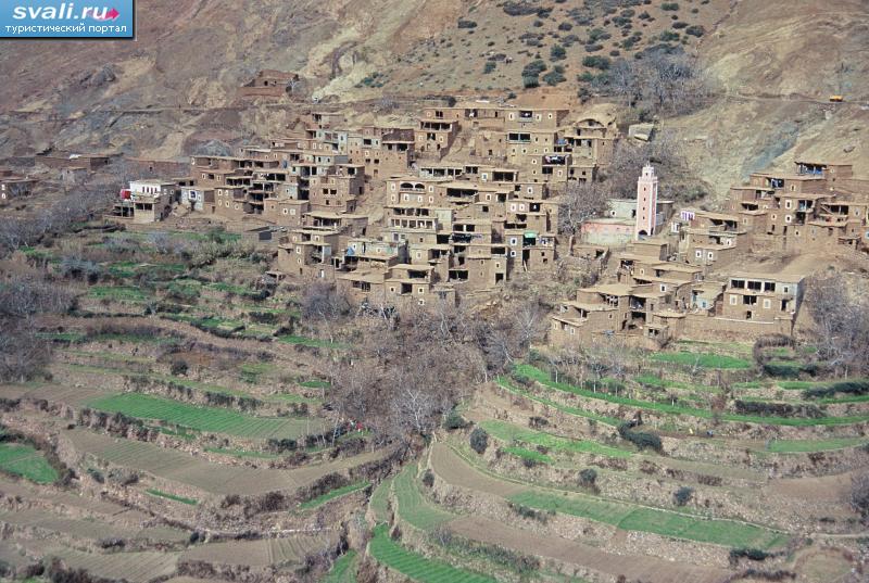 �������, �������.