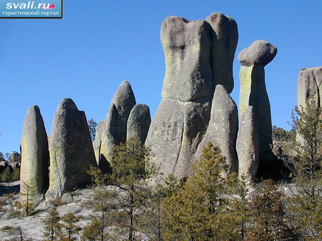 ������ ������ (Copper Canyon), �������.