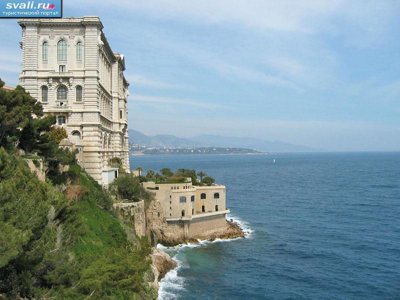 ����� ������������, ������.