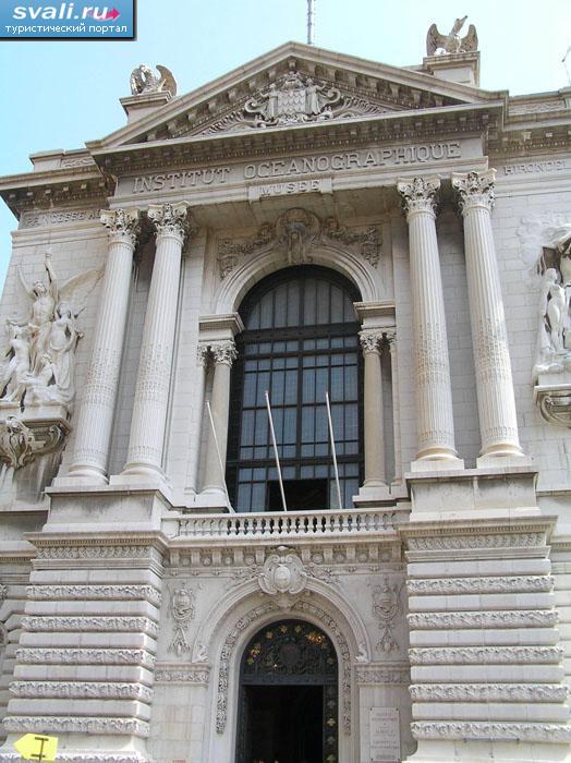 ����� ������������, ������.