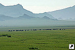Монголия.