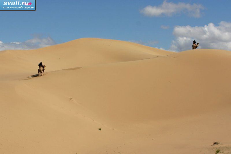 Пустыня Гоби, Монголия.