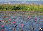   (Inle Lake),   (Shan state),  ().