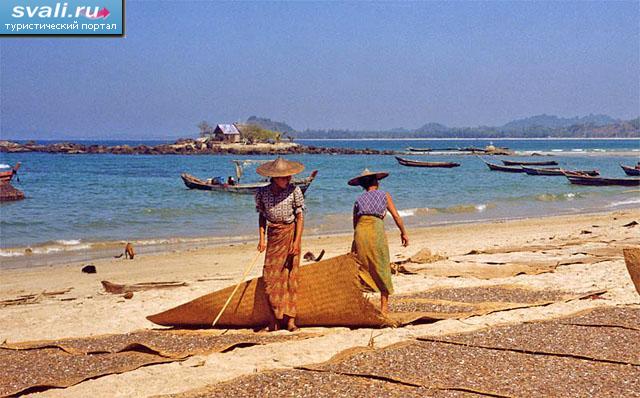 ���� ������� (Ngapali Beach), 7 �� �� ������ �������� (Sandoway), ������ (�����).