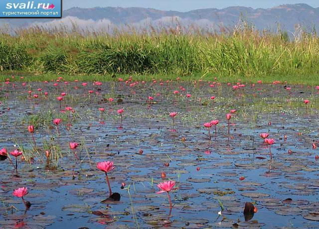 ����� ���� (Inle Lake), ���� ��� (Shan state), ������ (�����).