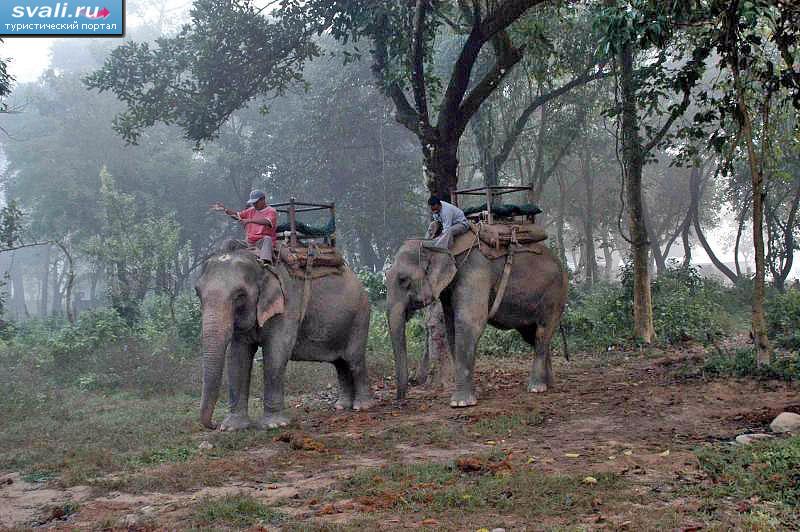    (Chitwan), .