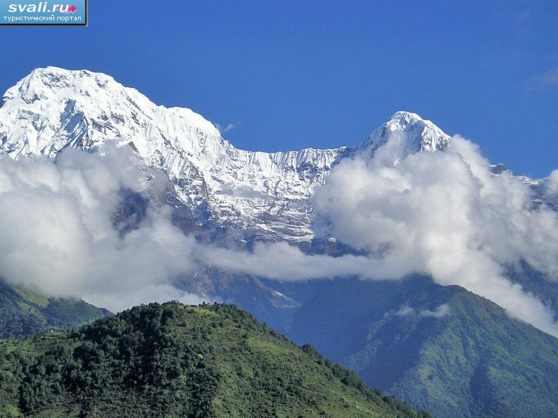 ������ ���������, �������, �����.