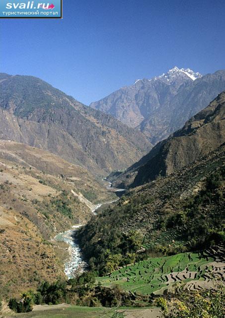 ������ ���� ����������, �������, �����.