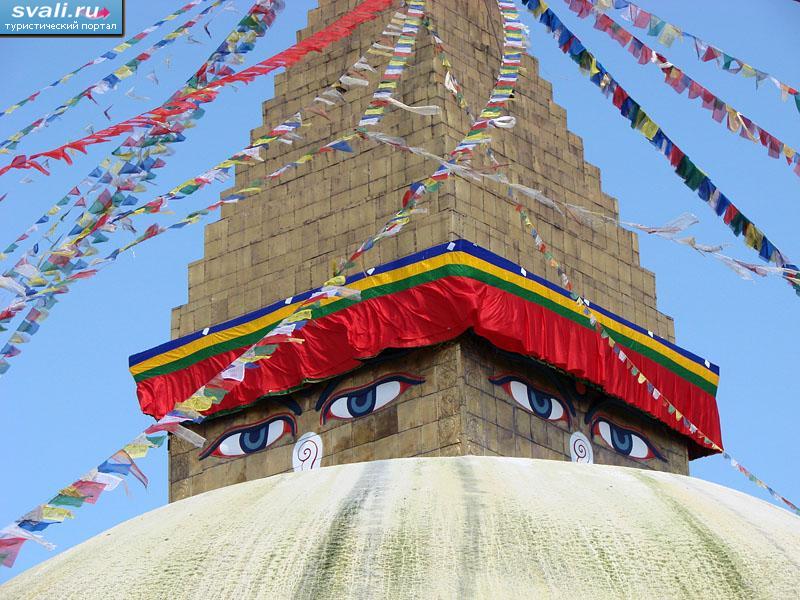 ����� �������, ��������, �����.