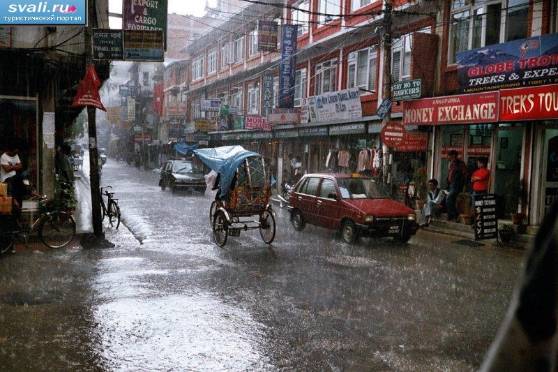 ����� ������, ��������, �����.