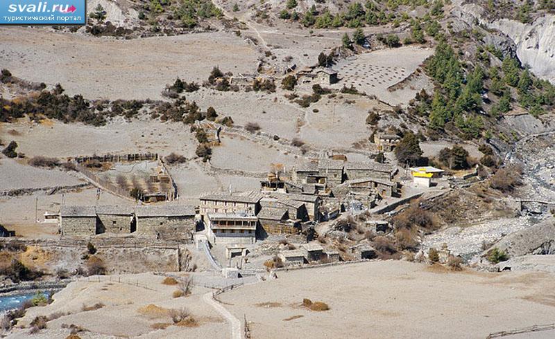 ������, ����������� ���������, �������, �����.