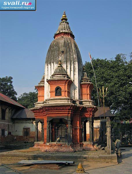 �������� �������� ������������, ������ ��������, �����.