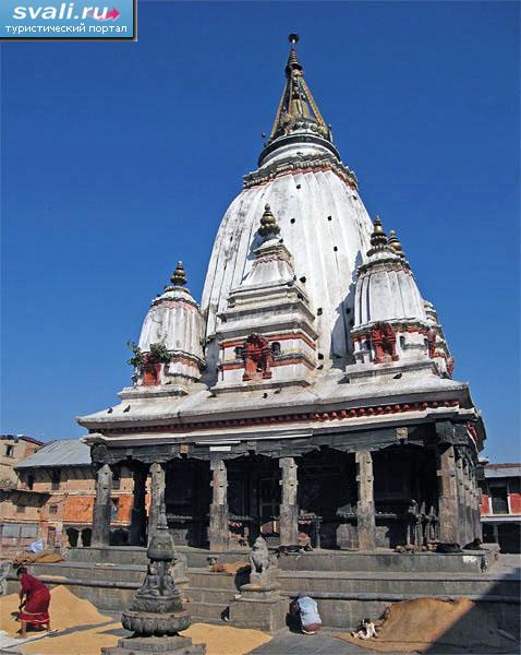 ��������, ������ ��������, �����.