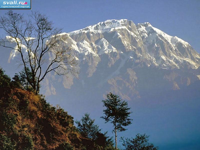 ���������, �������, �����.