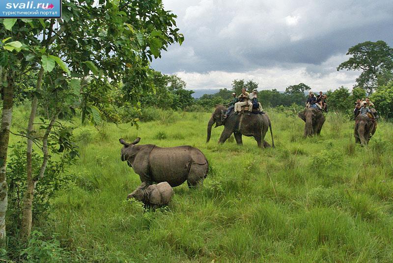    (Chitwan), .