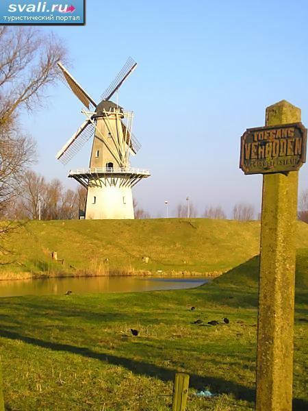 ����������.