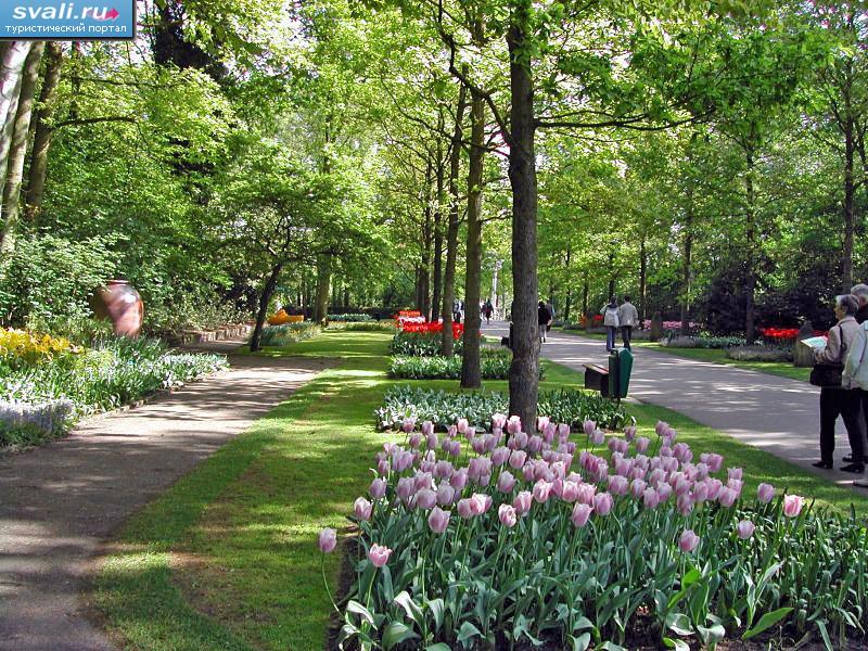   (Keukenhof), .