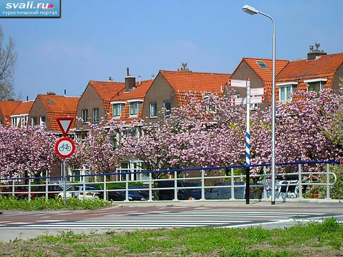 ������, ����������.